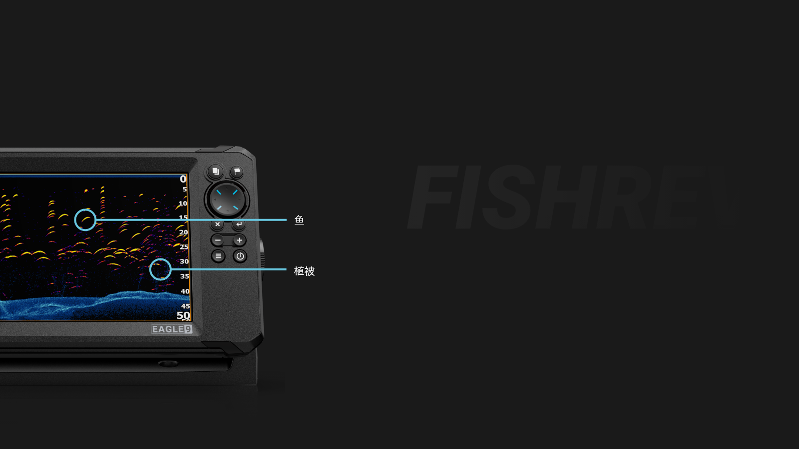 FishReveal Desktop CN.png