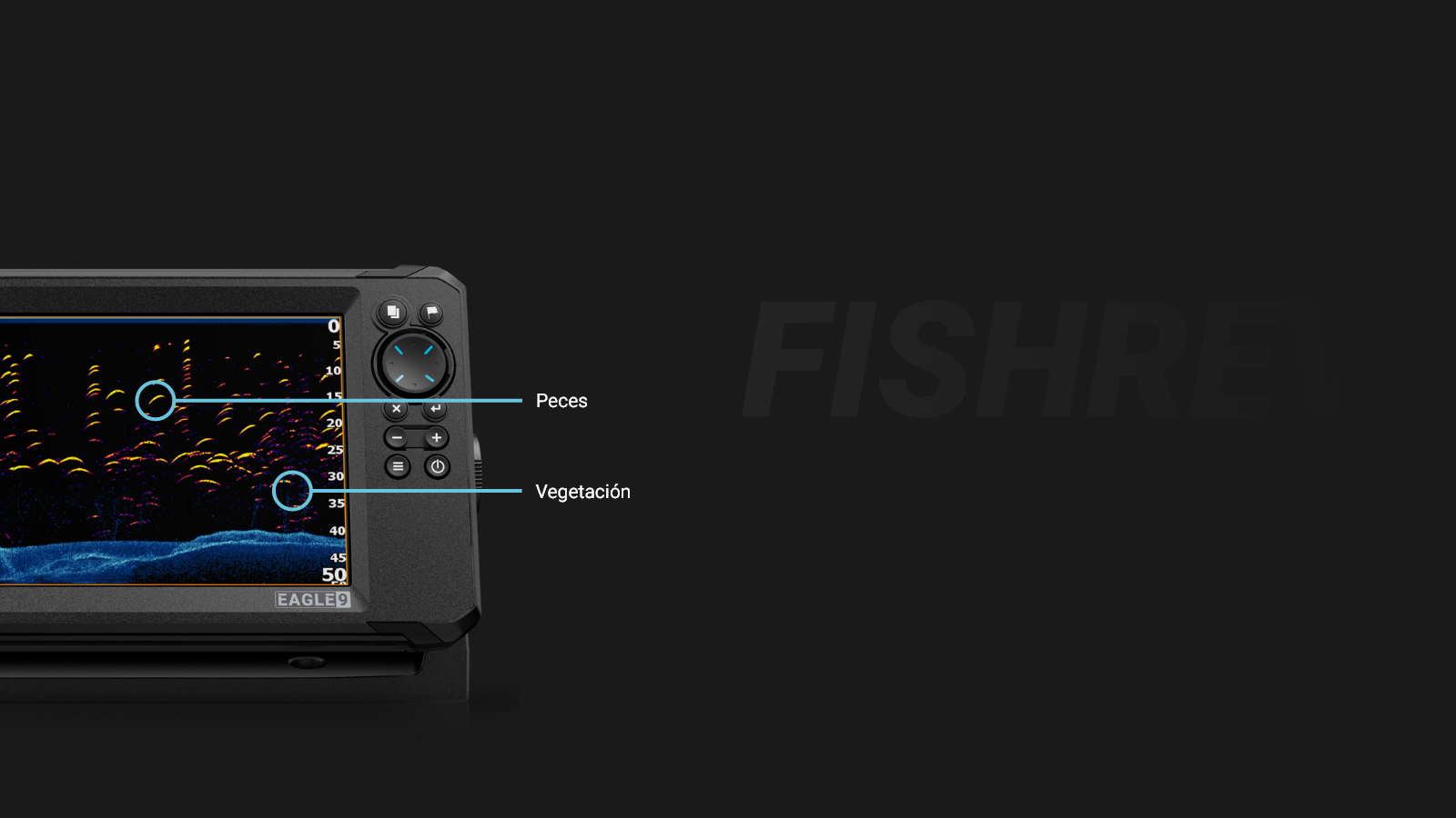 FishReveal Desktop ES.png