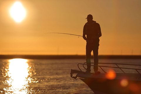 Auto tuning Sonar Makes Fishing Simple