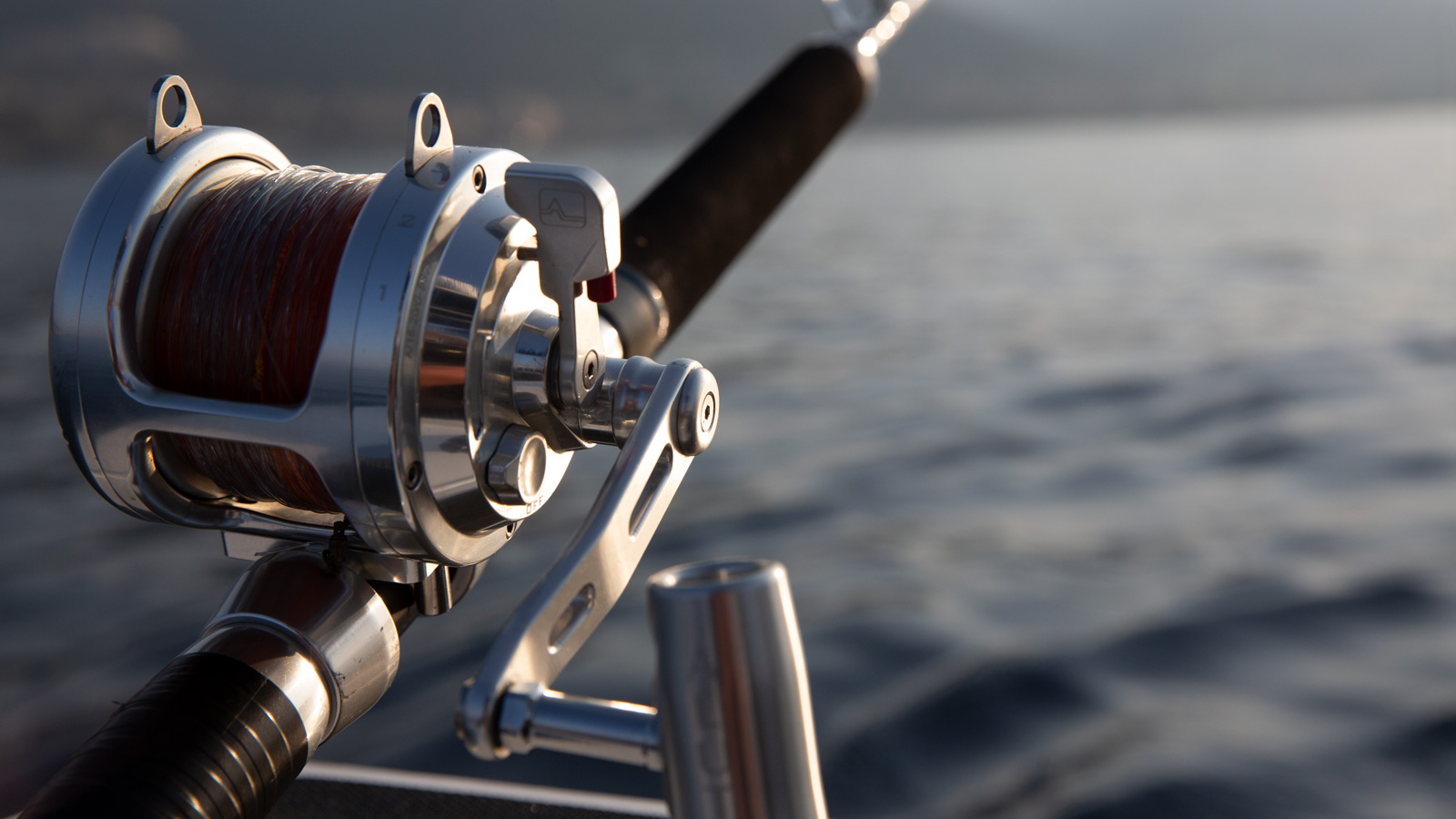 Navico-2016-cropped.jpg