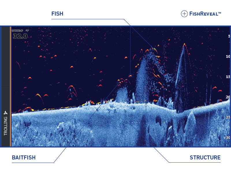 Real-Time Sonar Screens  When to Use Forward Versus Down View