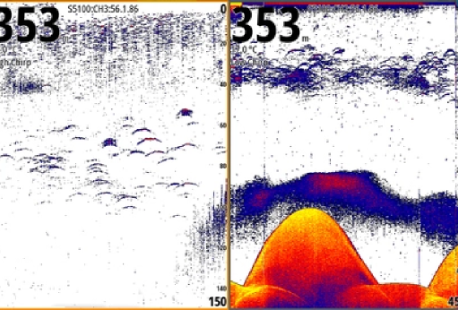 Chirp Sonar or Traditional Fish Finders?