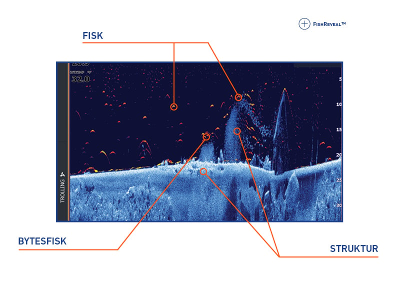 SE_LOW_NTF_SONAR-SWE.jpg