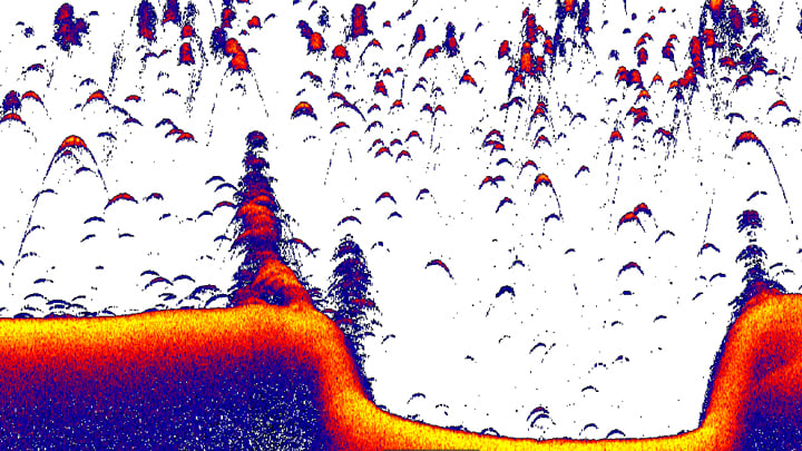 Saltwater_fishing_sonar_screenshot.jpg