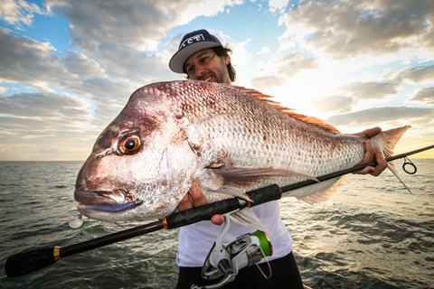 https://www.lowrance.com/globalassets/lowrance/products/by-activity/coastal-fishing/au---saltwater-fishing/snapper.jpeg?w=480&h=600&scale=both&mode=max