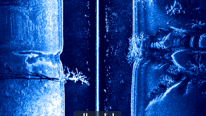 freshwater_fishing_tree_sidescan.png