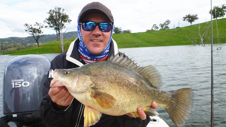 Freshwater_fishing_yellowbelly_mark_bright.jpg