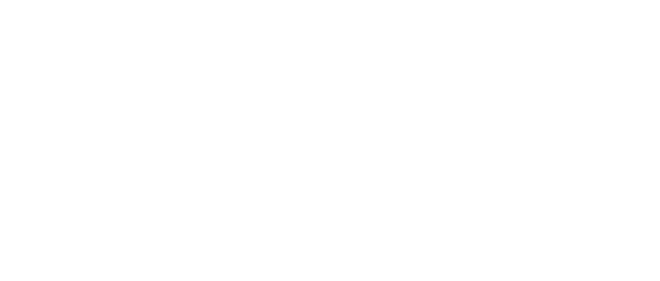 HDS PRO logo