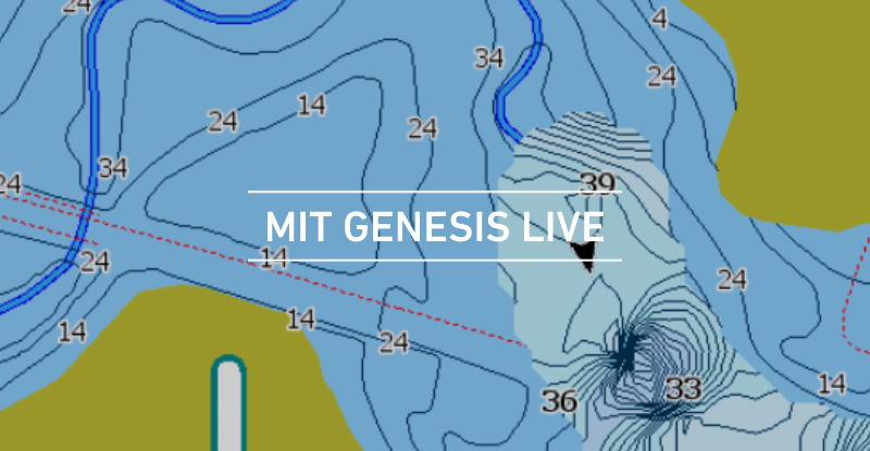 DE-WITH-GENESIS-LIVE.png